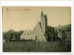 17459   -   Abdij Van Tongerloo   -   Wijngaard - Westerlo