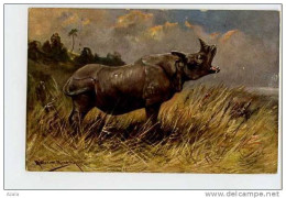 007618  - AUG. MUELLER - MUNCHEN  -  Le Rhinocéros - Müller, August - München