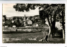 A 19930   -   Membre S/Semois   -   Un Coin Près Du Pont - Vresse-sur-Semois