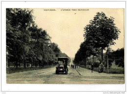 17274  -  Tervueren  -  L'Avenue Vers Bruxelles - Tervuren