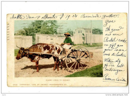 17256   -    Bahamas  -  Mammy Going To Market - Bahama's