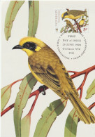 Australia 1998 Endangered Birds,Helmeted Honeyeater, Maximum Card - Maximumkaarten