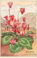 Kohler Chocolat Fins Cyclamen Alpenvellchen Cyclamen Europaeum Fleurs Blumen - Other & Unclassified