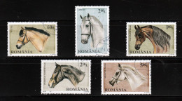 2010 -  Chevaux Pur-sang Mi No 6439/6443 - Used Stamps