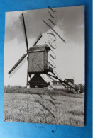 Leut Windmolen Nieuw Leven Moulin A Vent - As