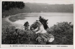 Pf. Acores. S.MIGUEL. Um Trecho Da Lagoa Das Furnas - Guarda