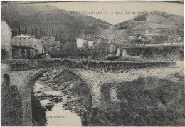 AMELIE LES BAINS   LE PONT DE PALALDA - Amélie-les-Bains-Palalda