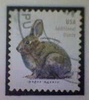 United States, Scott #5544, Used(o), 2021 Definitive, Brush Rabbit, (20¢), Gray - Gebraucht