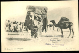 Chameaux Avec Palanquins Geiser Maroc Oriental Région Sud Poste De Bou Denib - Scenes