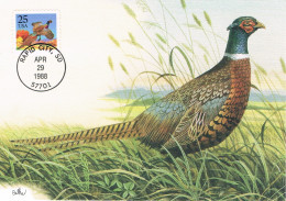 Etats-Unis - Oiseau : Coq Faisan CM 1809 (année 1988) - Cartoline Maximum