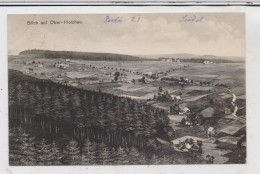 0-9213 RECHENBERG - BIENENMÜHLE - OBER-HOLZHAU, Blick Auf Das Dorf, 1921 - Rechenberg-Bienenmühle