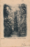 RONSE  BOIS JOLY   LA FONTAINE DES GEANTS     ZIE AFBEELDINGEN - Ronse