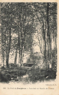 Fougères * La Forêt * Sous Bois Au Moulin De L'artois - Fougeres