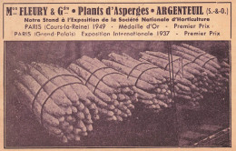 Argenteuil * Maison FLEURY & Grde * Plants D'asperges * CPA Publicitaire Ancienne - Argenteuil