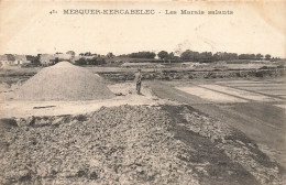 Mesquer * Quimiac * Kercabelec * Les Marais Salants * Paludier - Mesquer Quimiac