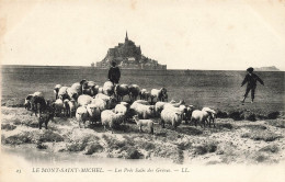 Le Mont St Michel * Les Prés Salés Des Grèves * Troupeau De Moutons - Le Mont Saint Michel