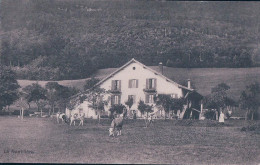 Rochefort NE, La Nantillère, Ferme Et Troupeau De Bétail (278) - Rochefort