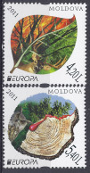 MOLDAVIE - Europa CEPT 2011 - 2011