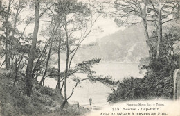 Toulon * Cap Brun * Anse De Méjean à Travers Les Pins - Toulon