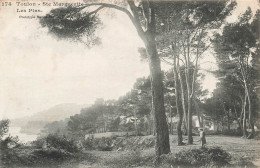 Toulon * Ste Marguerite * Chemin Et Les Pins - Toulon