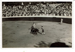 TYROSSE - PHOTOGRAPHIES ORIGINALES - NOVILLADA  INAUGURATION DES ARENES Du 29 JUILLET 1934 - TRES RARE -  VOIR SCANS - Saint Vincent De Tyrosse