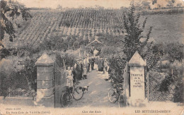 Un Petit Coin De VIRIVILLE (Isère) - Clos Des Amis - Vignoble - Les Beytières-Gresse - Temple De La Paix Et Du Travail - Viriville