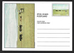 Postal Stationery For Raising Oxen And Cows In Transkei. Agriculture. Horses. Ganzsache Zur Aufzucht Von Ochsen Und Kühe - Agriculture
