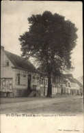 Maison Communale Et L'Arbre Séculaire - Sint-Gilles-Waas - Sint-Gillis-Waas