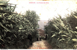 Cogolin Le Chemin Des Aloes (LOT A9) - Cogolin