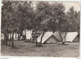 Cogolin Camping De La Foux 1956 (LOT A47) - Cogolin