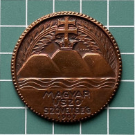 Medal Plaque Plakette PL000297 - Swimming Hungary Federation Association Union LAJOS GREFF 20g - Swimming