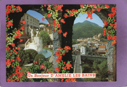 66 Un Bonjour D'AMELIE LES BAINS - Amélie-les-Bains-Palalda