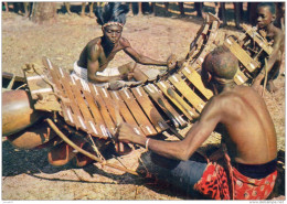 L Afrique En Couleurs Joueurs De Balafons(LOT BBA) - Non Classés