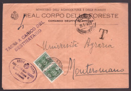 Italia Luogotenenza, Busta Del Maggio 1946 Con Coppia 2 Lire Segnatasse   -DN24 - Postage Due