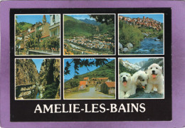 66 AMELIE LES BAINS  Multivues - Amélie-les-Bains-Palalda