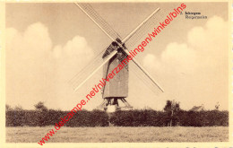 Reigermolen - Ichtegem - Ichtegem