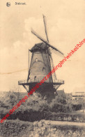 De Molen - Stabroek - Stabrök