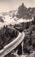 FRANCE - 74 - CHAMONIX  Mont Blanc - Le Chemin De Fer De Montenvers Et L'aiguille Du Drû - Carte Postale Ancienne - Chamonix-Mont-Blanc