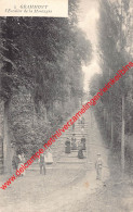 Grammont - L'Escalier De La Montagne - Geraardsbergen - Geraardsbergen