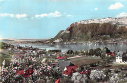 FRANCE - 74 - Lac D'ANNECY - SEVRIER - Vue Générale Et Le Mont Veyrier - Carte Postale Ancienne - Annecy