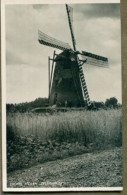 PAYS BAS / NEDERLANDS - Thorn : Molen Zeldenrust - Thorn