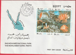 FDC - Enveloppe Le Caire (Egypte) (22-12-1990) - Reserve De Ras Mohammed National Park - Lettres & Documents