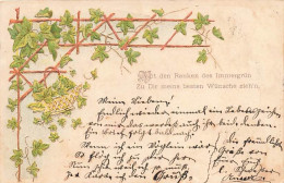 Gaufrée 1900 Vigne Treille Weinrebe Spalier - Weinberge