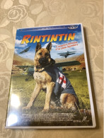 Rintintin (DVD) - Kinderen & Familie