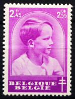 BELGIQUE                    N° 445                  NEUF** - Nuovi