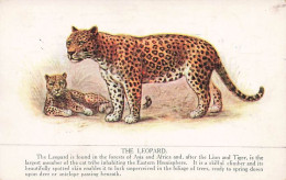 Litho The Léopard Der Leopard - Sonstige & Ohne Zuordnung