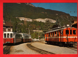 ZVY-02 Train Spécial Monthey - Les Diablerets Présence Exceptionnelle à Monthey En 1977 Ferriowiews Monthey  GF NC - Monthey