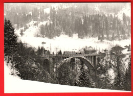 ZVY-15 Train Aigle Les Diablerets Sur Grande Eau Près Des Planches Photo Rochaix 1964  BVA GF NC - Aigle