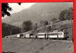 ZVY-16 Train Aigle Les Diablerets Entre Le Sépey Et Les Planches Photo Rochaix 1972  BVA GF NC - Aigle