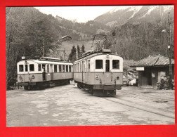 ZVY-17 Train Aigle Les Diablerets Evitement Aux Planches Photo Rochaix 1972  BVA GF NC - Aigle